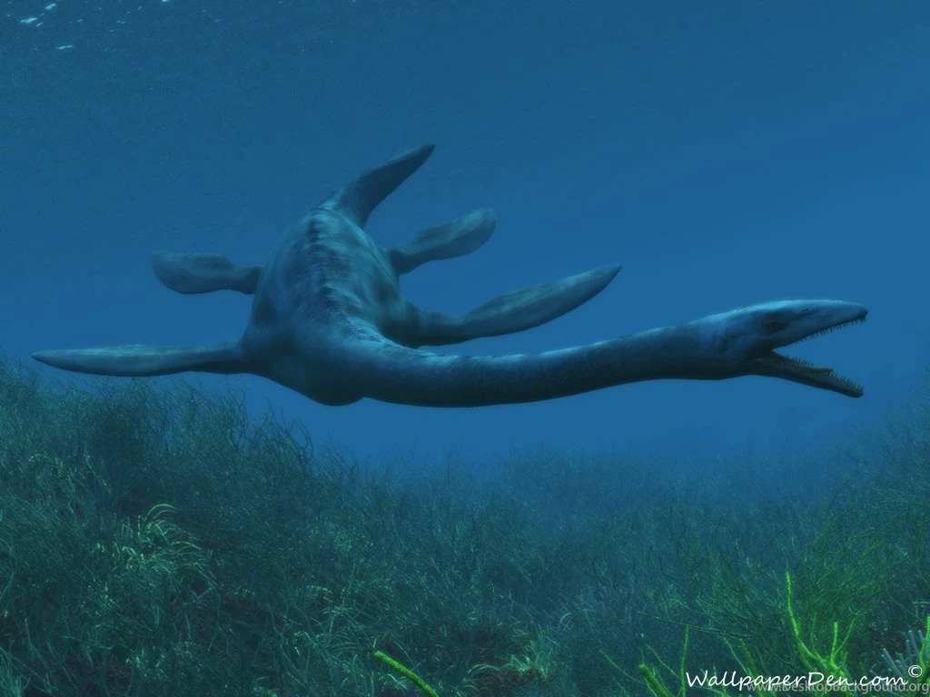 Loch Ness Monster « Paleoaerie