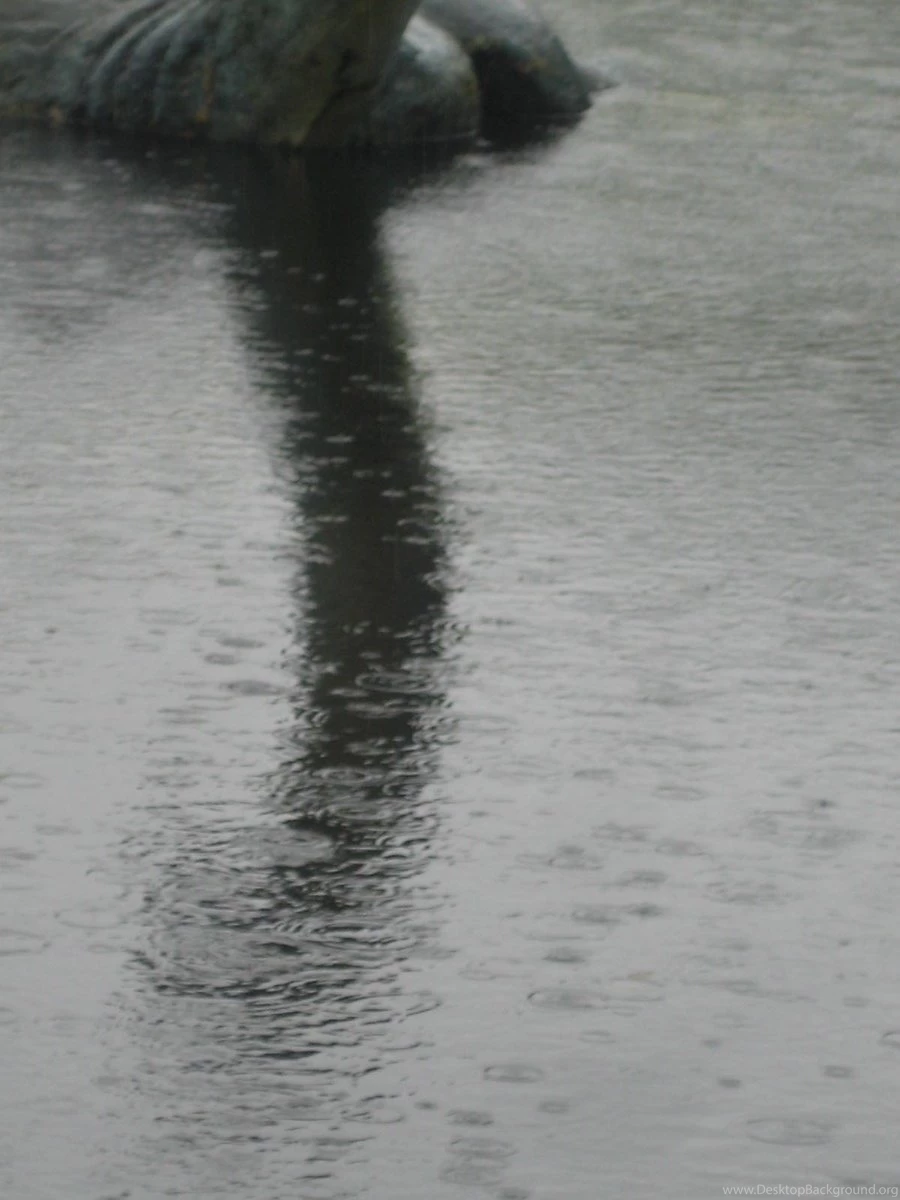Loch Ness Monster By Castaway5 On DeviantArt