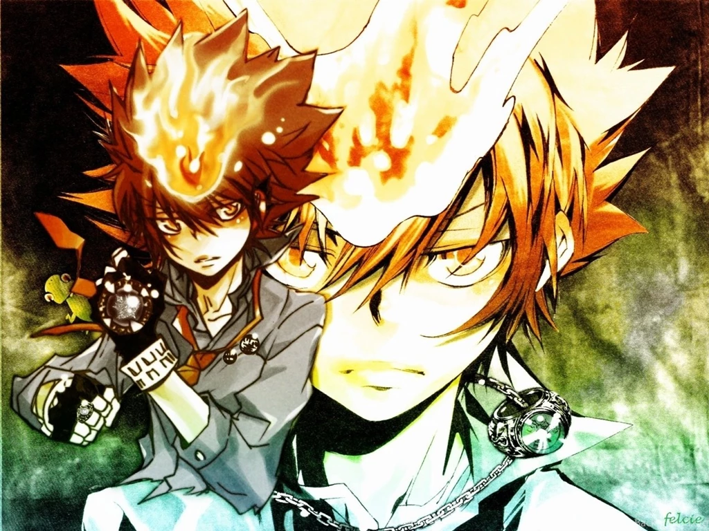 Reborn Image Sawada "Tsuna" Tsunayoshi Wallpapers (33167063) Fanpop