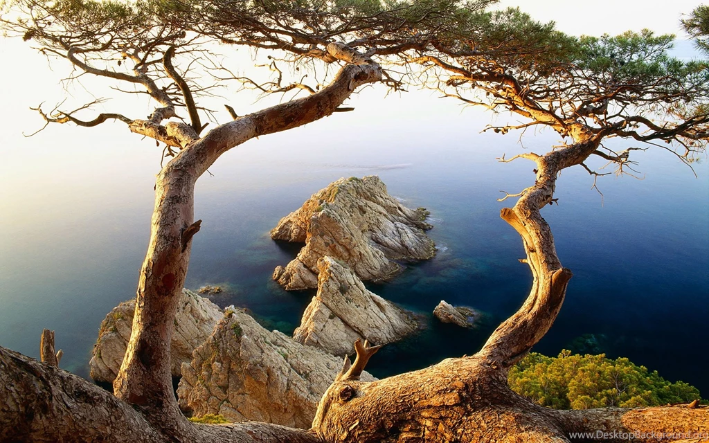 Arrangement Beautiful Landscape Backgrounds For Popular Landscaping