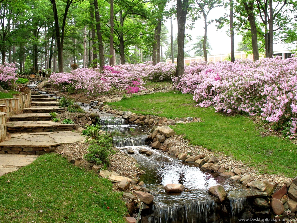 Garden Louisiana Landscaping Ideas Front Yard   The Janeti