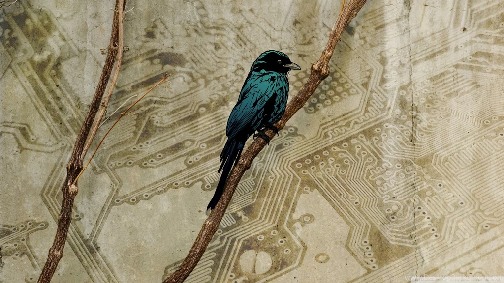 Bird Art, 1920x1080 HD Wallpapers And FREE Stock Photo