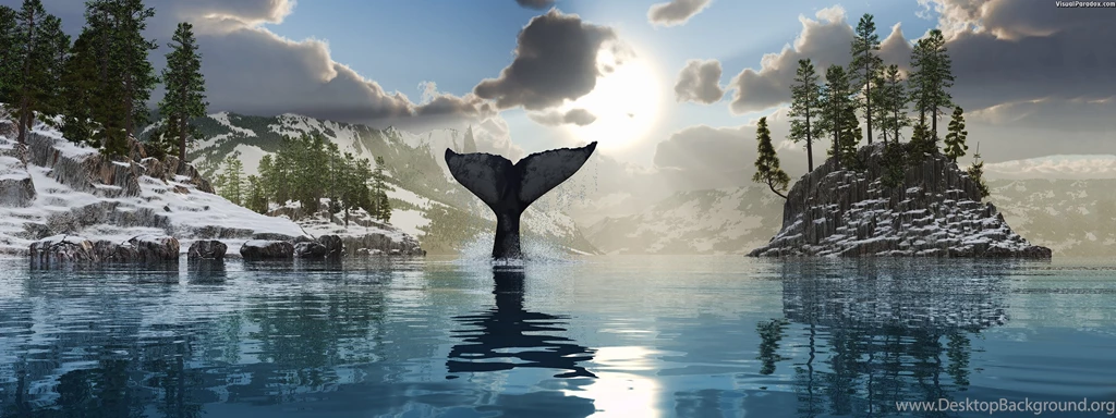 Visual Paradox Free 3D Wallpapers 'Tale Of The Whale' 3200x1200 ...