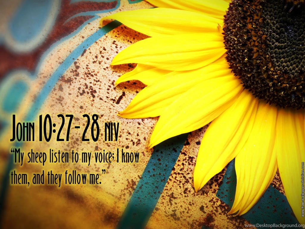 Wallpapers Christian Free Bible Verse 1024x768