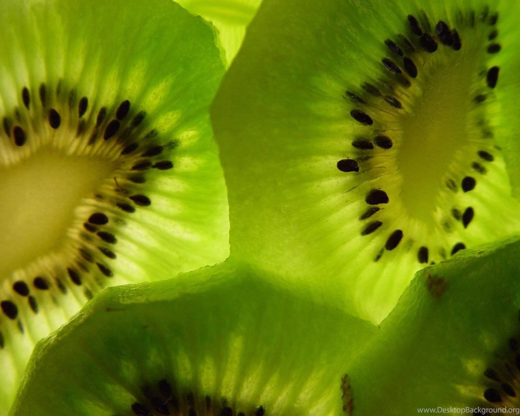 Kiwi Kiwi Wallpapers (31298271) Fanpop