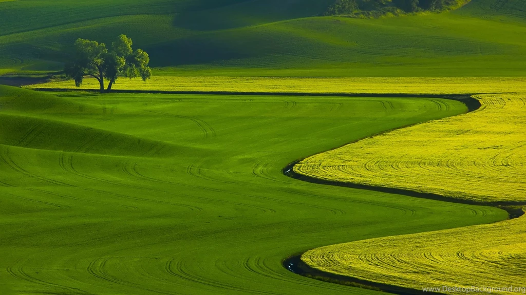 Nature Full HD 1080p Wallpapers 1920x1080 Wallpapers UC FORUM ...