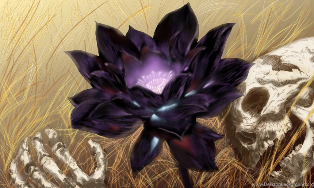 Black Lotus By Karl Smink On DeviantArt