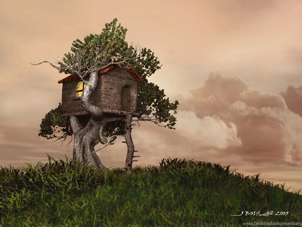 A Tree House