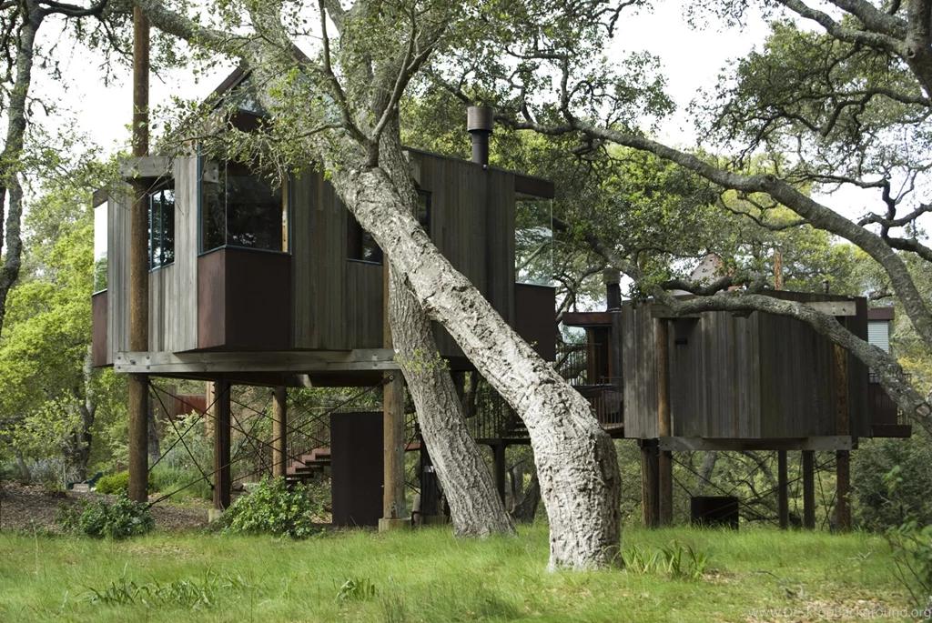 Top 20 Beautiful And Amazing Tree House Wallpapers,Pics
