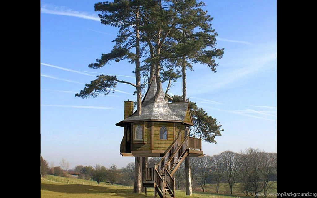 I Love Treehouses: Real Treehouse Wallpapers 1680x1050