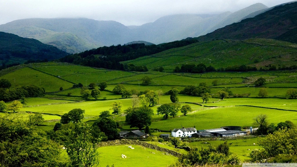 Mountain Spring Landscape HD Desktop Wallpapers : Widescreen : High ...