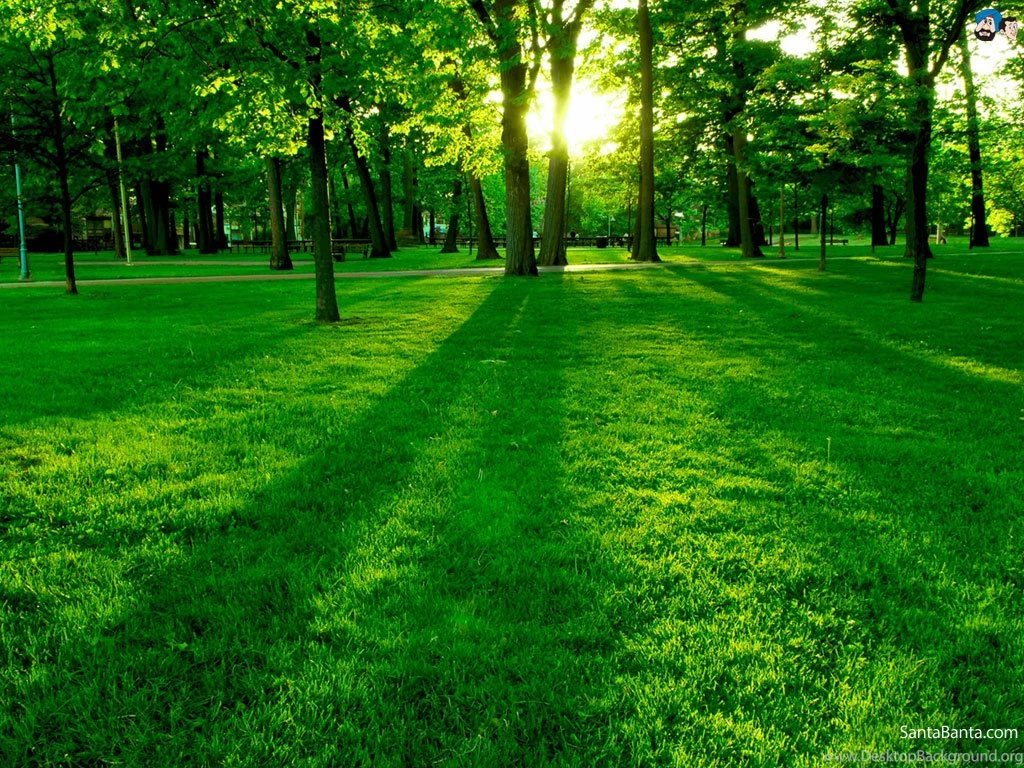 Landscapes Wallpapers