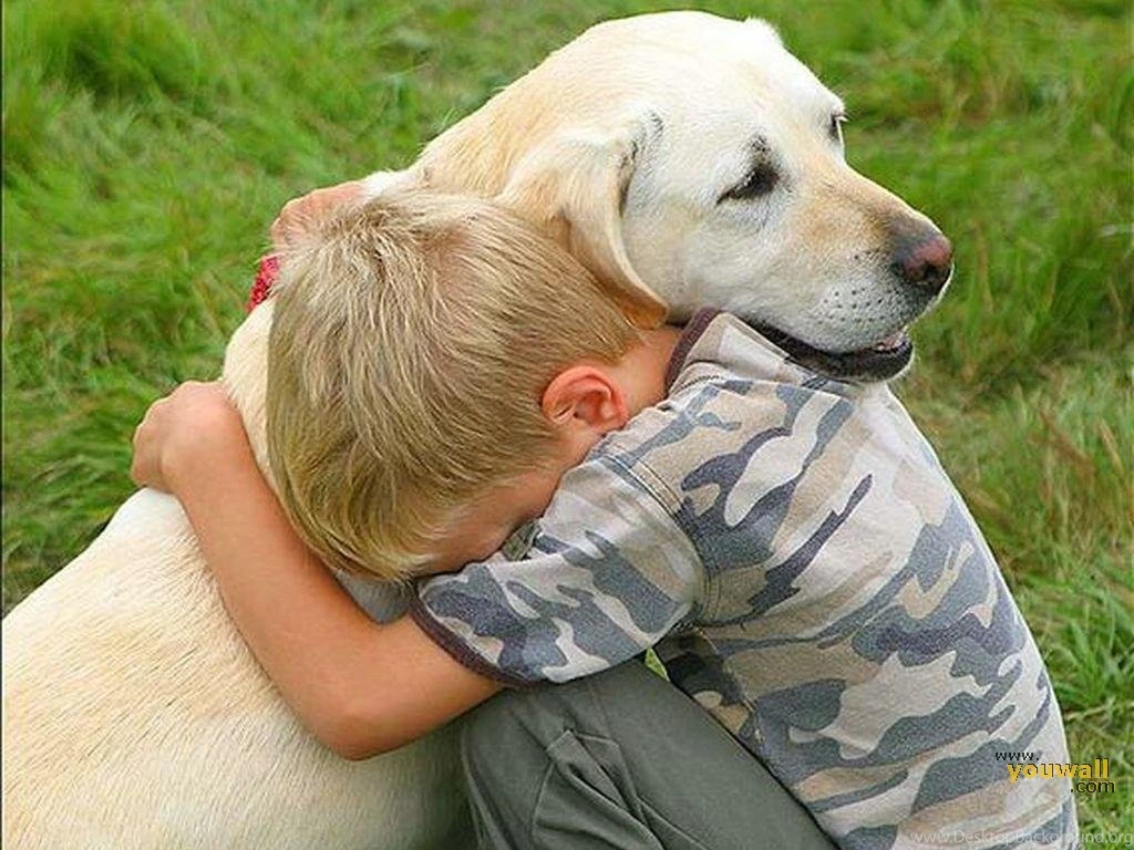 YouWall Big Friends Wallpapers Wallpaper,wallpapers,free ...