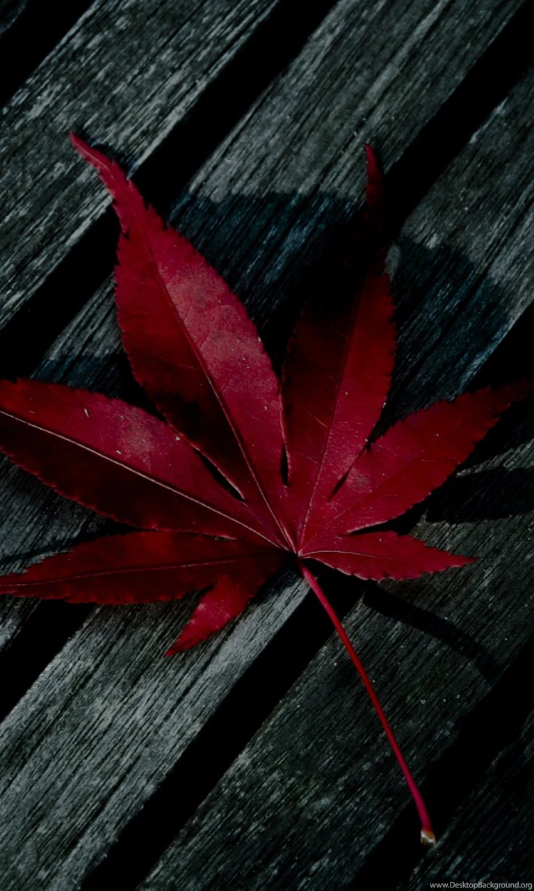 Download Wallpapers Blackberry Z10 Hd   Phone Wallpapers Hd Red ...