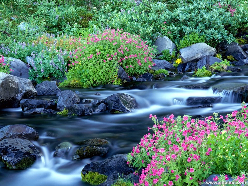 Free Beautiful Nature Wallpapers – HD Wallpapers Free Download