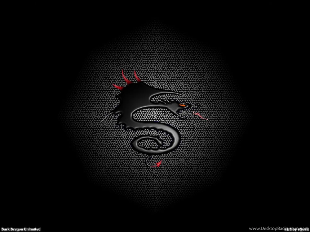 Wallpapers   Dark Dragon By SQualll   Customize.org