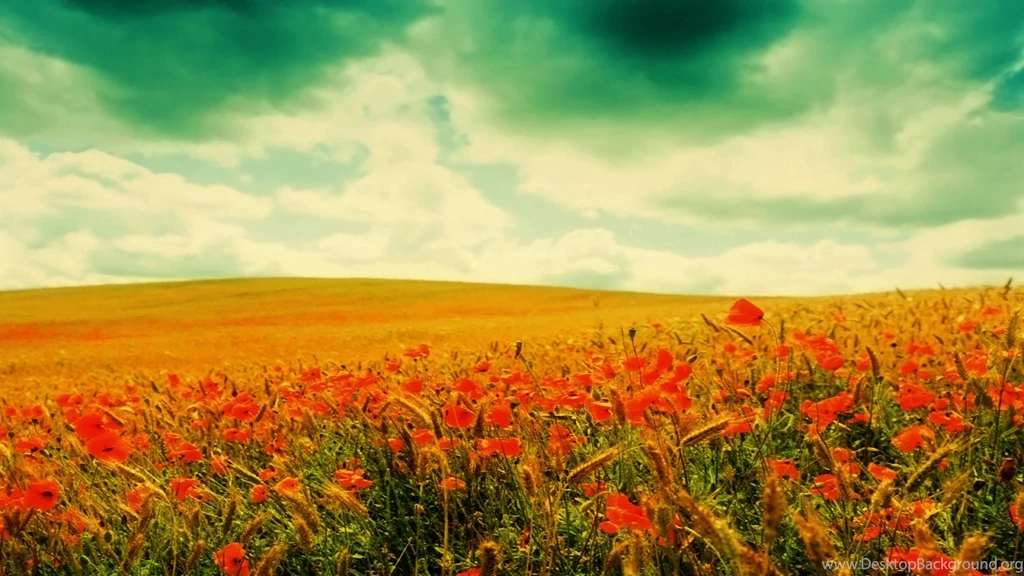 Ink Washed Spring Wallpaper, Some Links About The True Cost Of ...