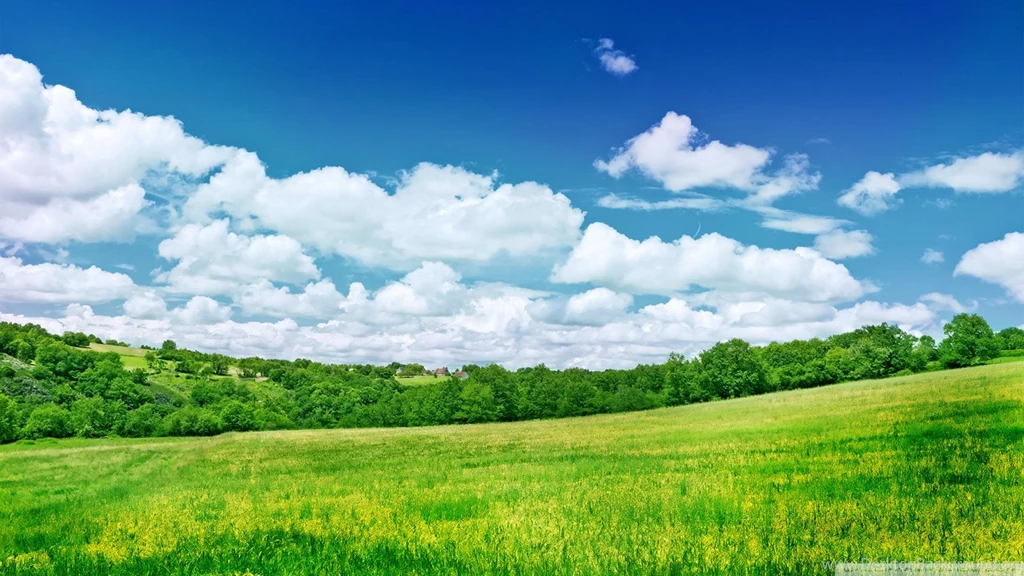 SUMMER SCENERY WALLPAPER   (