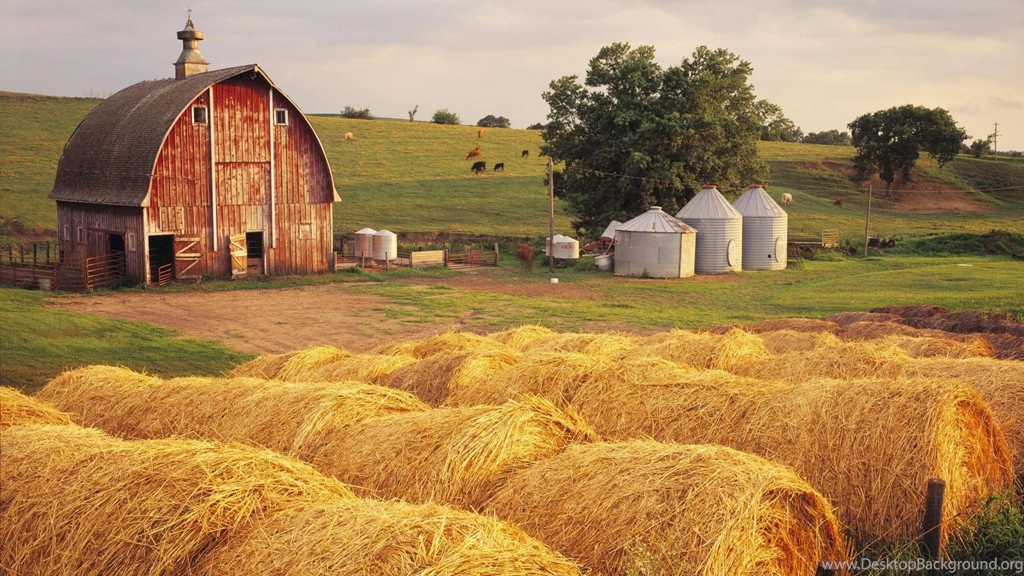 Hay Iowa 1920×1080 Wallpapers 1632681