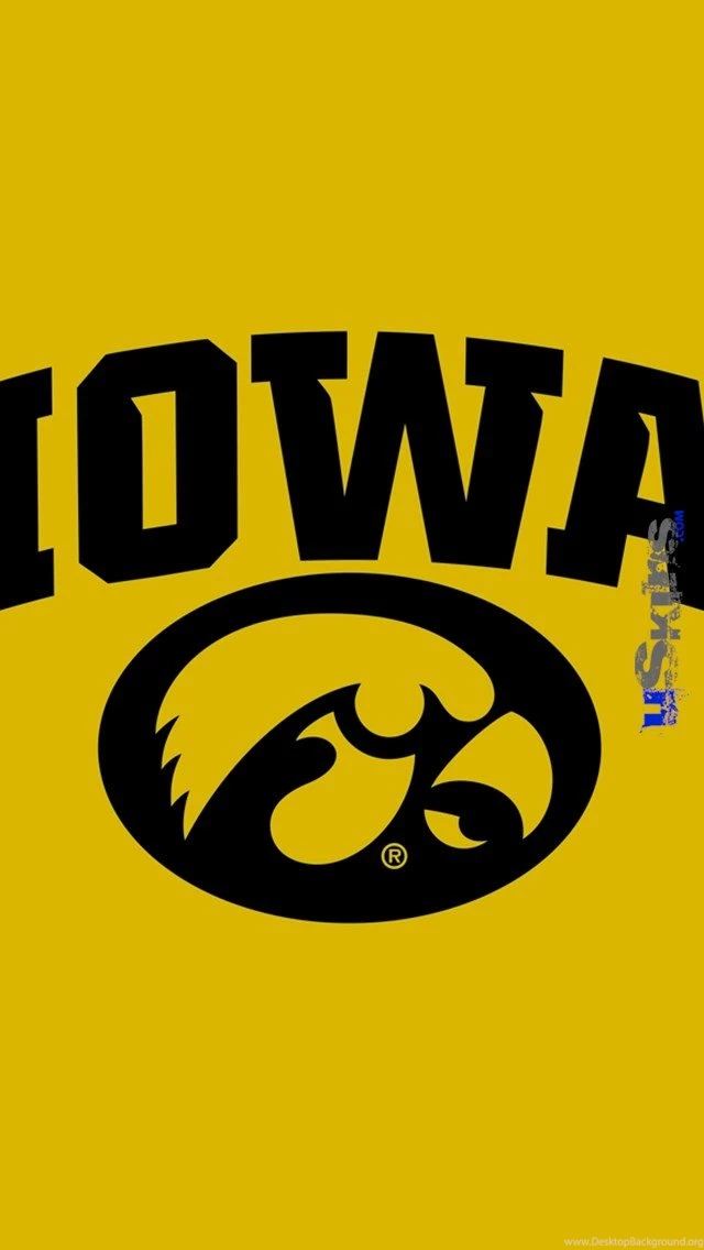 Iowa Hawkeyes Tigerhawk Oval 01 Black On Gold Decal Style Vinyl ...