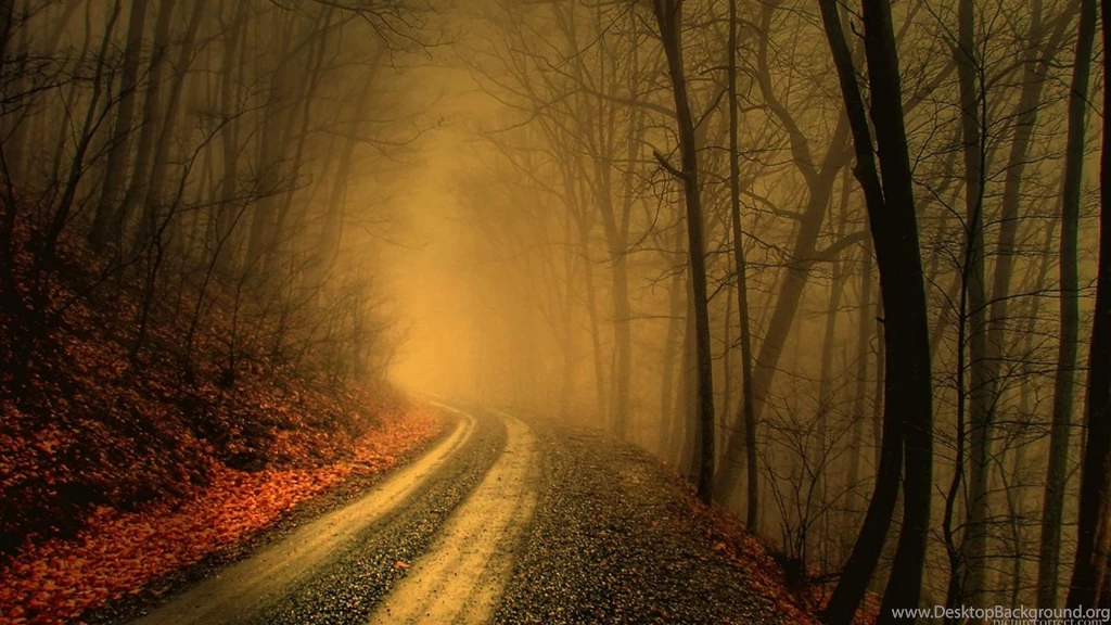 Trees Autumn Forest Road Leaves Serious Path Fog Mist Hd Wallpapers ...