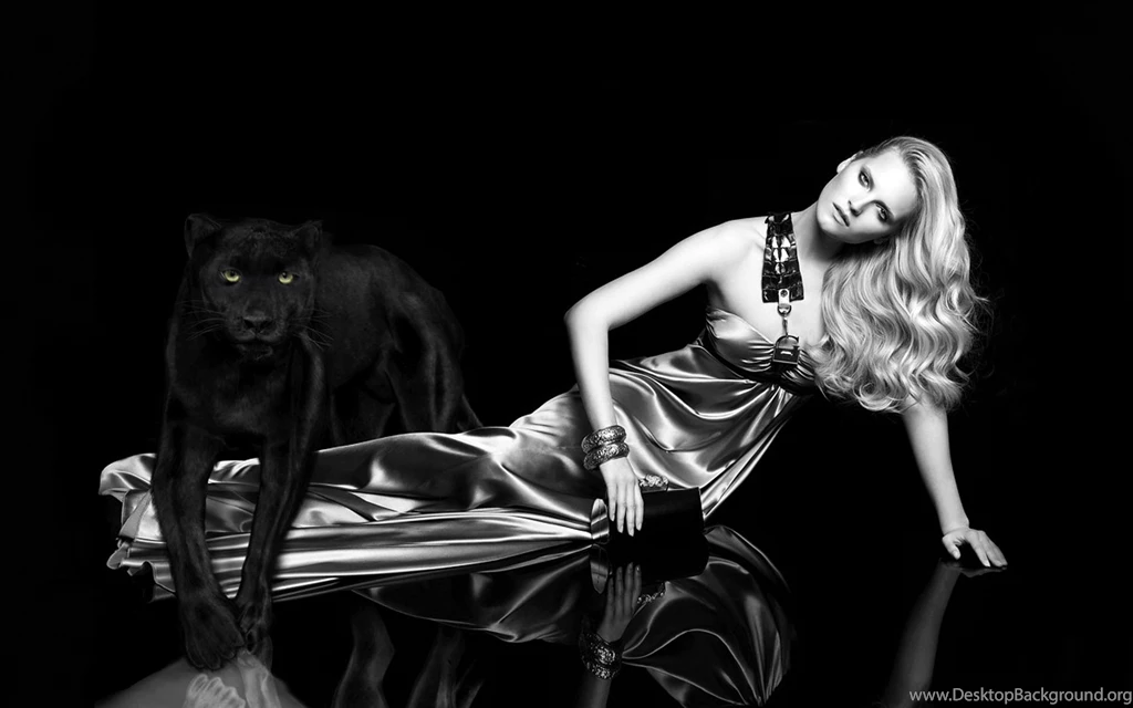 Black Backgrounds Hd Widescreen Wallpapers Black Backgrounds