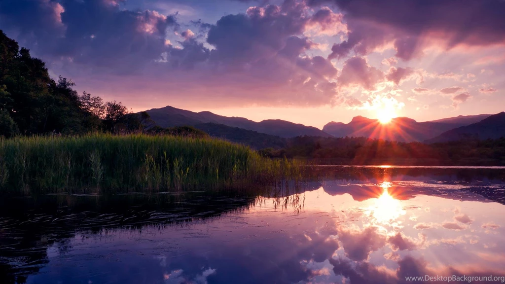DREAMY SUNSET WALLPAPER (