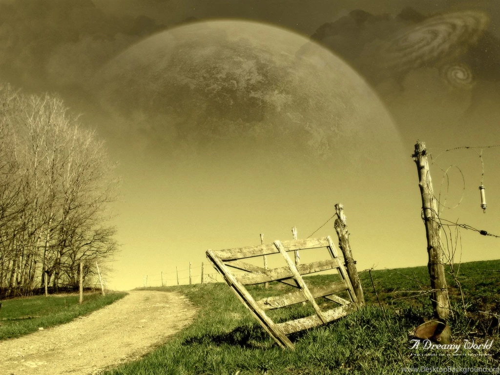 Dreamy Wallpapers
