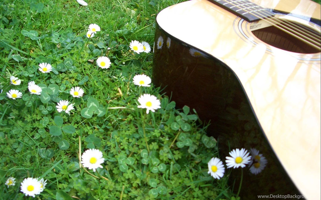 Music Wallpaper: Acoustic Guitar Widescreen Wallpapers HD ...