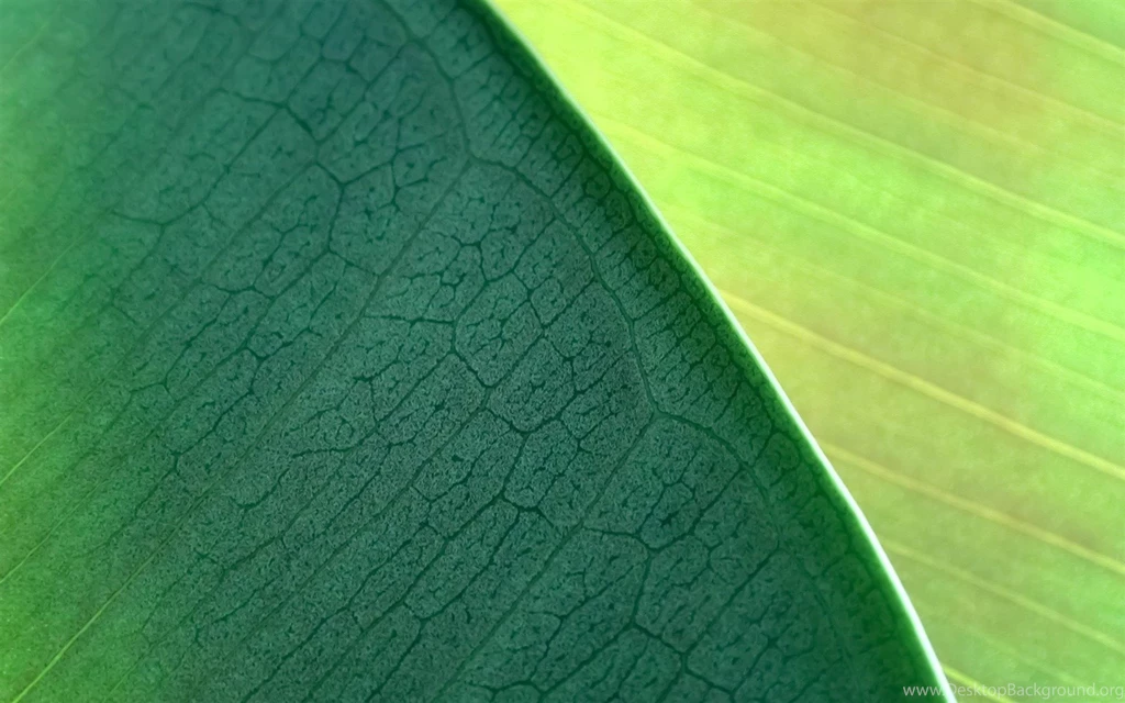 Green Leaves MAC OS X Mountain Lion HD Wallpapers 1680x1050 ...