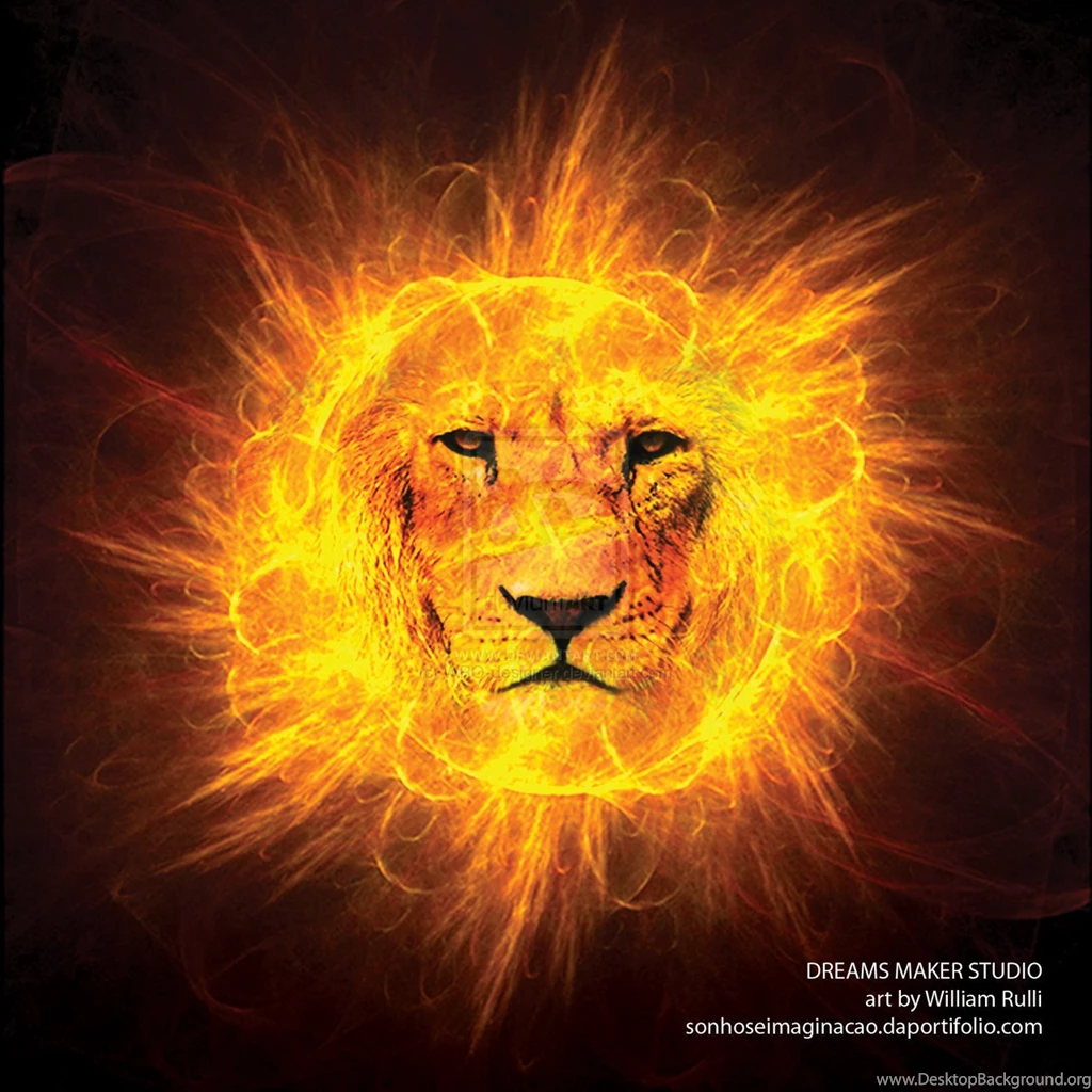 Pictures Of Lion Of Judah Wallpapers HD Fine