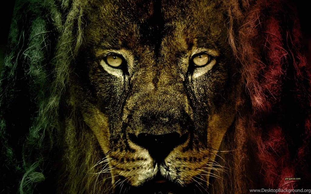 Lion Of Judah Pictures Wallpapers High Definition