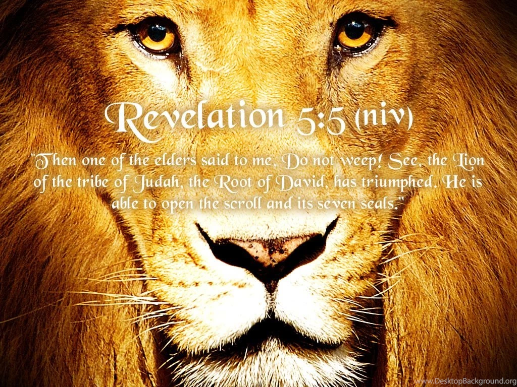 Lion Of Judah Wallpapers Wallpapers Cave