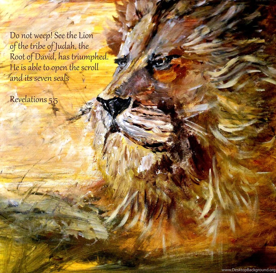 Pictures Of Lion Of Judah Wallpapers HD Fine
