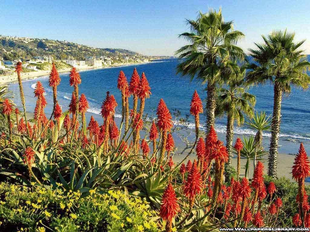 California Beach Thumbgal
