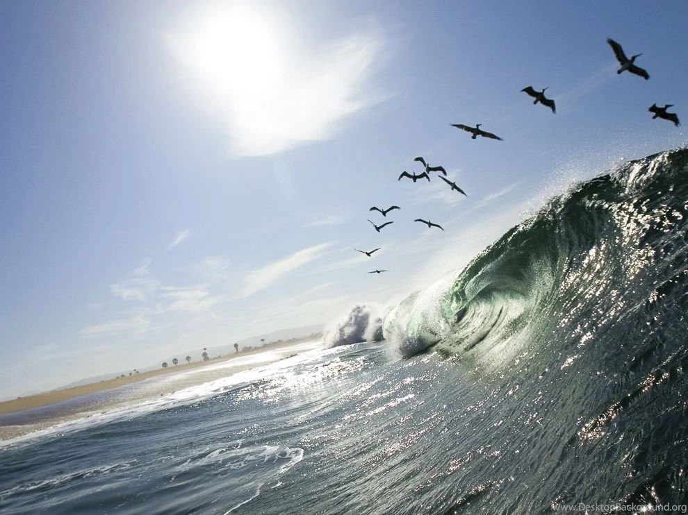 Newport Beach, California