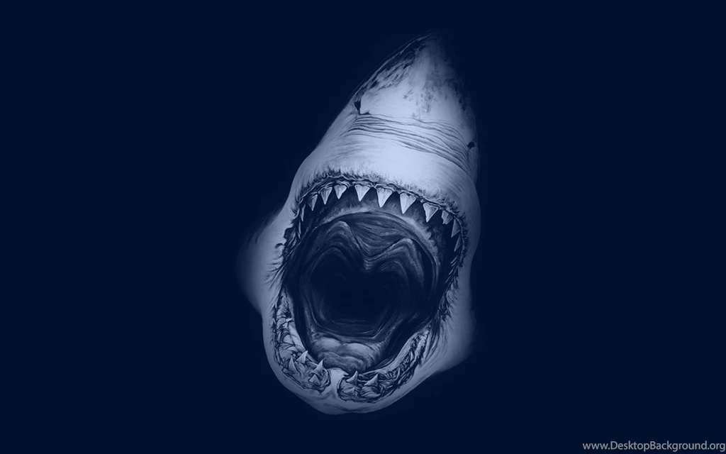 Shark Wallpaper Images Photos Pictures Backgrounds