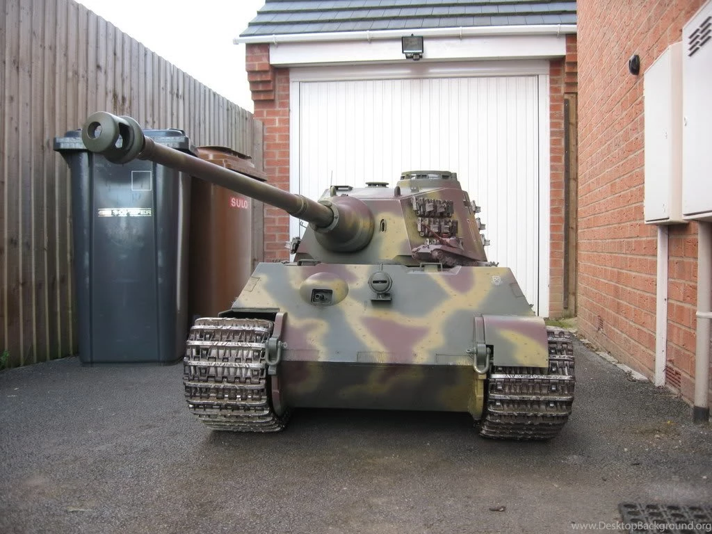 1/4 King Tiger Fun With The Little Pond