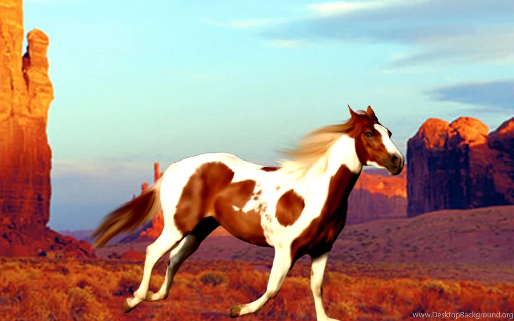 Paint Horse Wallpapers HD