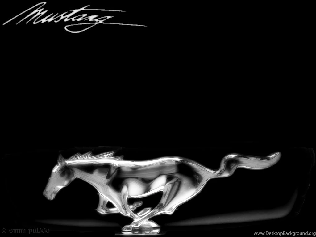 Mustang Logo Wallpapers Image