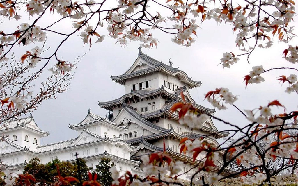 Japanese Style: Houses Photographic Wallpapers Of Cherry Blossoms ...