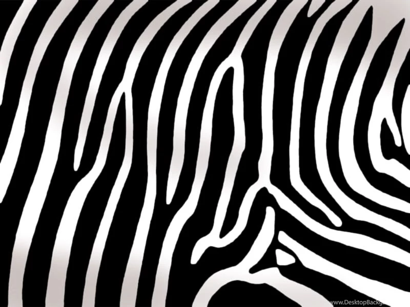 Artistic Zebra Print Of