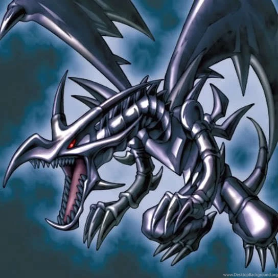 Yu Gi Oh! Cards Fans