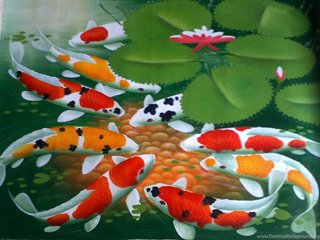 Koi Fish Wallpapers