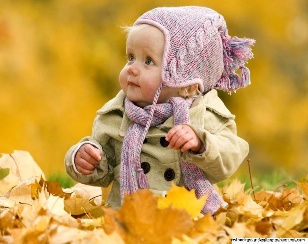 Cute Wallpapers Download