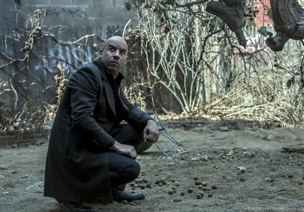 The Last Witch Hunter Wallpaper, Movies / Action: The Last Witch ...