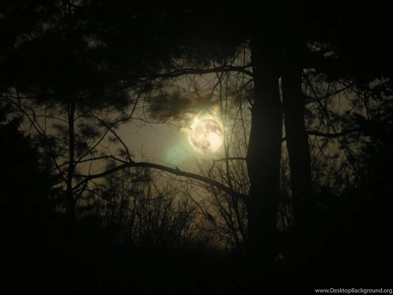 Moon Night Super Moon – Nature Sky HD Desktop Wallpapers