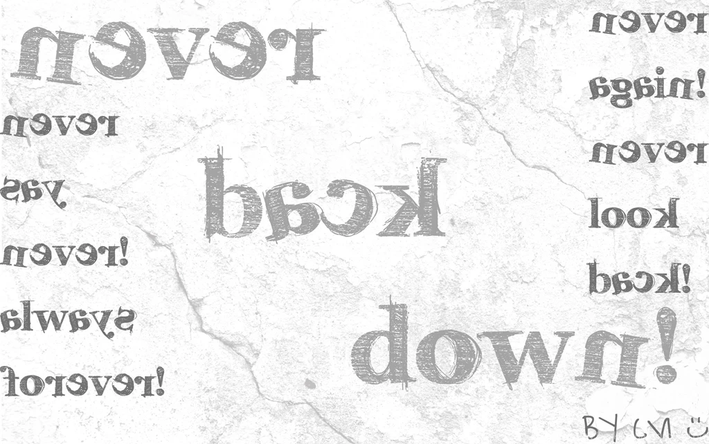 Never Back Down Wallpapers By BaDBuNnYyY On DeviantArt