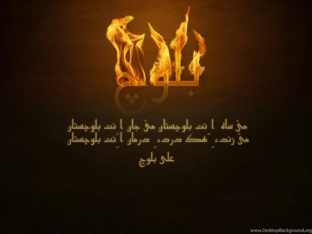 Wallpapers Never Back Down Ali Darakshaan S Balochi 1024x768 ...