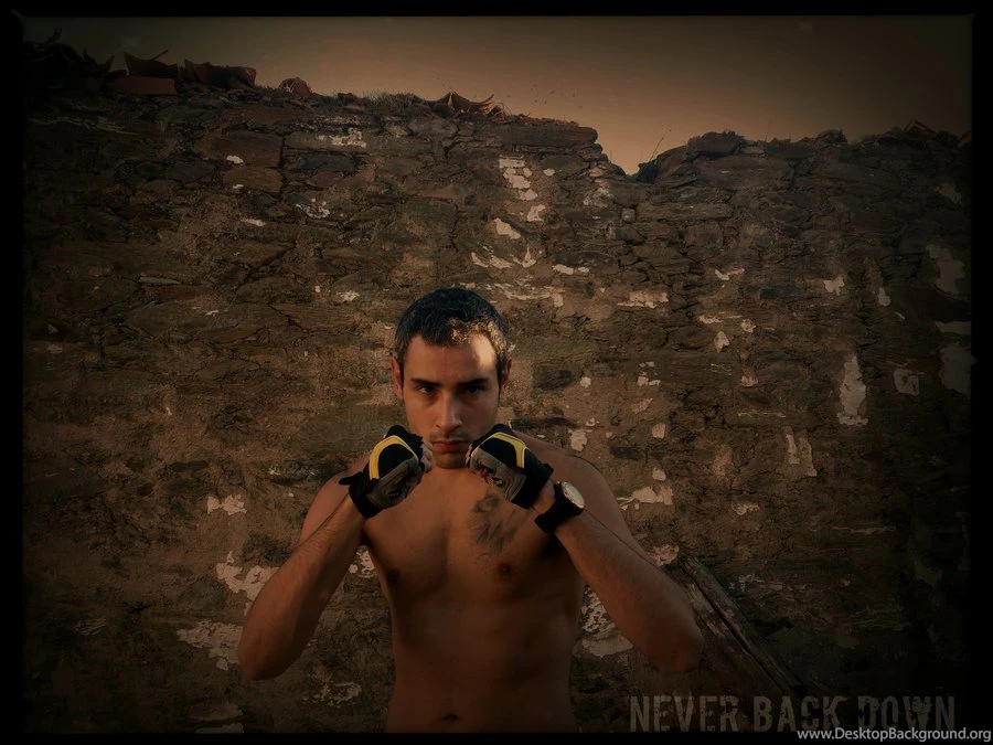Never Back Down Wallpapers By Sssnakeee On DeviantArt